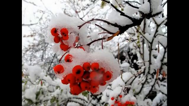 красивая природа Мира смотреть онлайн