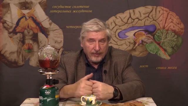 Глобальный маразм крепчает смотреть онлайн