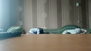 Йога челлендж с Милане🤸