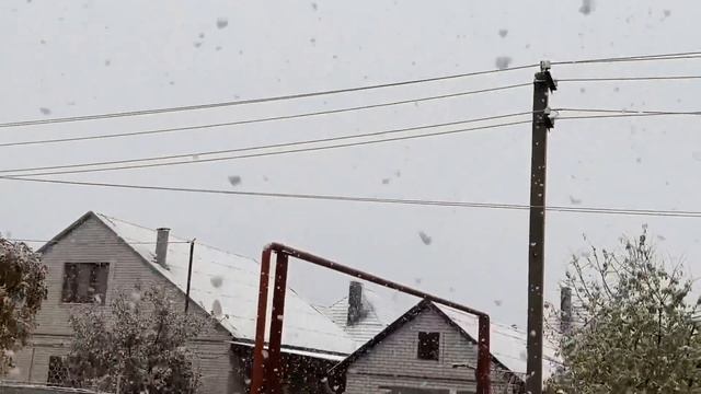 СВЯЗАЛА ШАПКУ за один вечер // День бухгалтера // наши котята смотреть онлайн