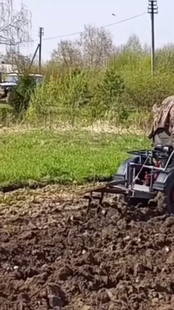 МТЗ с адаптером пашет землю плугом . смотреть онлайн