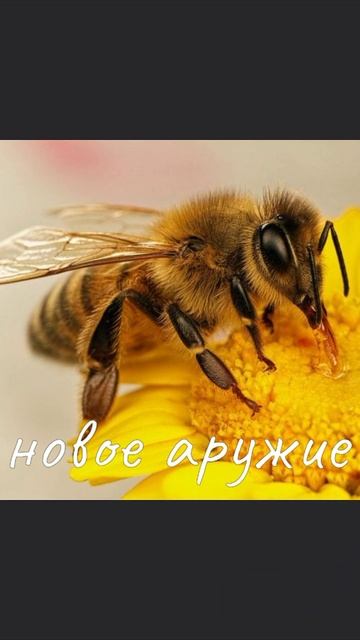 наступило лето а это значит... смотреть онлайн