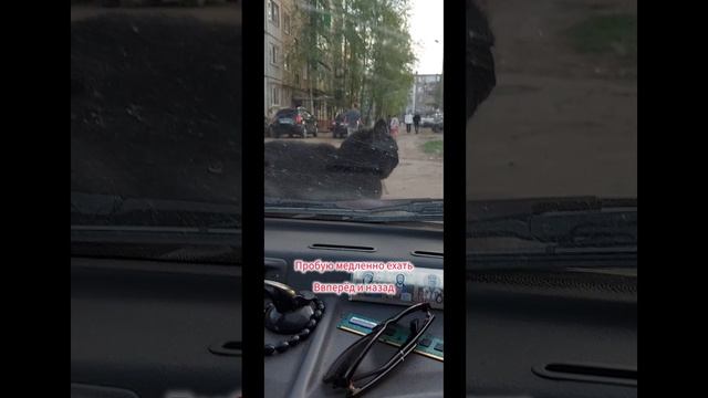 Самый спокойный кот в мире) Очень смешно. Как набрать много просмотров и подписчиков