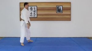 Mae mawari ukemi (мае мавари укеми) - падение вперед с кувырком