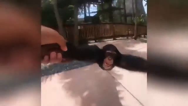 18 ОТБОРНЫЕ ПРИКОЛЫ   ЛУЧШИЕ ПРИКОЛЫ  ржака до слез угар прикол