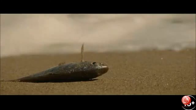 Кинообзор Июль 2021 часть 2 смотреть онлайн