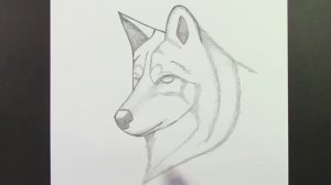 Простой рисунок волка карандашом: как нарисовать волка поэтапно, лёгкие рисунки карандашом