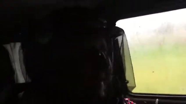 Камчатский комар смотреть онлайн