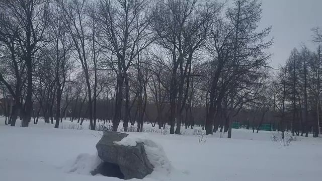 Свекровь завещала недвижимость племяннице. Невестка ?