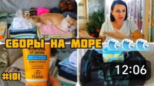 СОБИРАЕМ БОЛЬШУЮ СУМКУ В ОТПУСК, 🏖🏝 НА МОРЕ 2024 🌊🌊🌊 ПЕРСИК ХОЧЕТ С НАМИ 😍😻