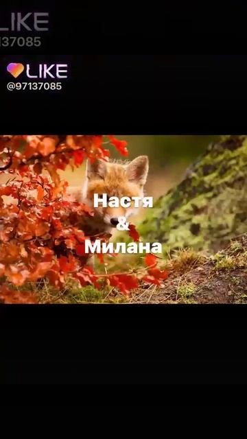 Тут есть твоё имя? ( для девочек) смотреть онлайн