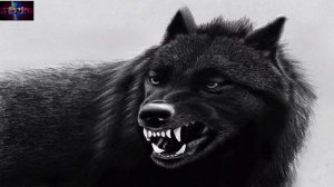 Группа Блатной удар - Одинокий волк