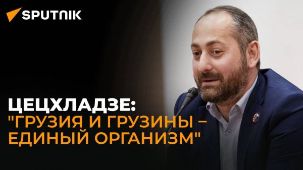 Цецхладзе: Порядок получения гражданства для этнических грузин должен быть упрощен