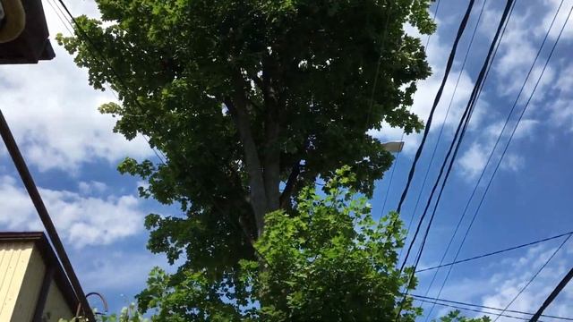 Вновь Карантинный Наряд и Allure из Краснодара для своих смотреть онлайн