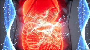 2024: Матрица Гаряева для исцеления и здоровья кишечник?