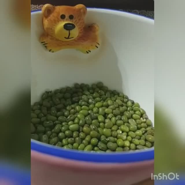 Суп с зеленым горошком-маш. Далее про чаггу. Деревья лекари.