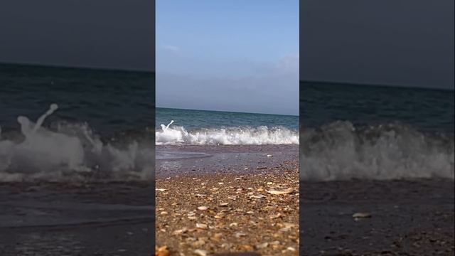 Морской прибой, Благовещенская - 05.09.2024