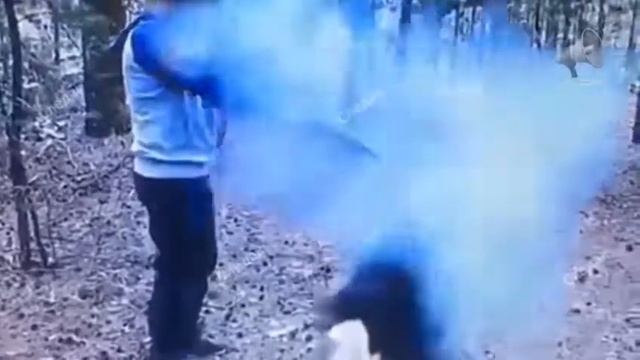 Постановочное убийство банды С.Леонтьева. смотреть онлайн