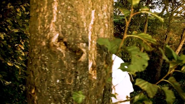 Корпоративное видео ООО МОСТ смотреть онлайн