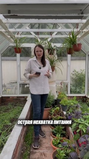 Это ХЛОРОЗ!