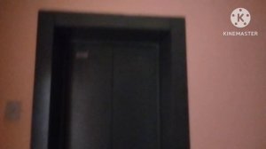 Созданный музыкальный лифт) Лифт ЩЛЗ 2009 года. Саранск, Волгоградская 124А, 1 подъезд