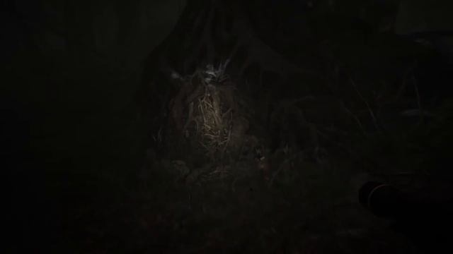 Blair Witch ► Chapter 4. Встреча с лесником, ну или просто с психом... смотреть онлайн