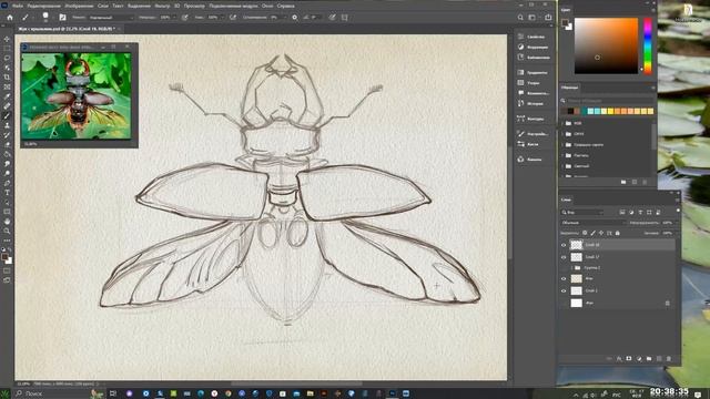 Жук с крыльями смотреть онлайн