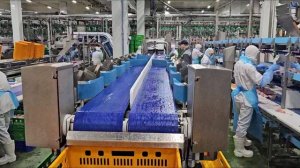 Грейдер Сигнал-Пак крыло