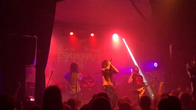Psychonaut 4 - I Wanna Be Your Dog (Iggy Pop Cover) Live @Брюгге