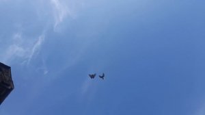 Николаевские голуби молодые 2025 г