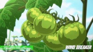 Ветролом/Wind Breaker (Opening 1)