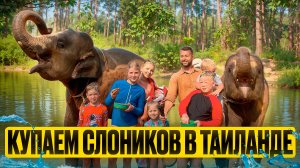 Купаем слоников в Таиланде. Као Лак. Семья Георгиевых.