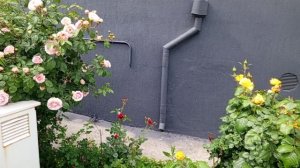 Лайфстайл что это такое