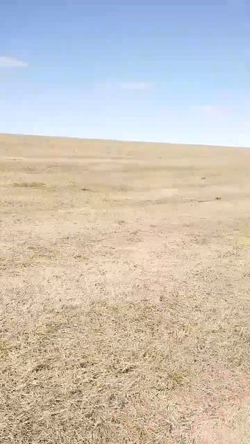 как я попал на обои Windows🤔 смотреть онлайн