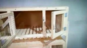 Клетка для кроликов с маточником