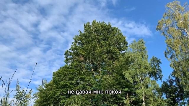 Как моя жена ходила на работу в школу без ТРУСИКОВ. Ист смотреть онлайн