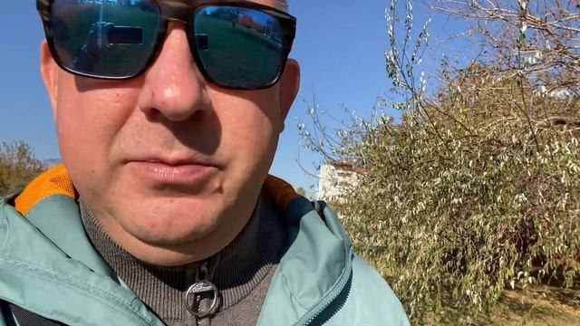 Как связаны наука и понимание истины смотреть онлайн