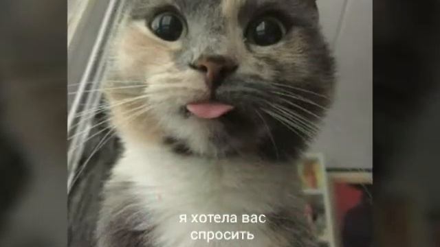 Переименовать? смотреть онлайн