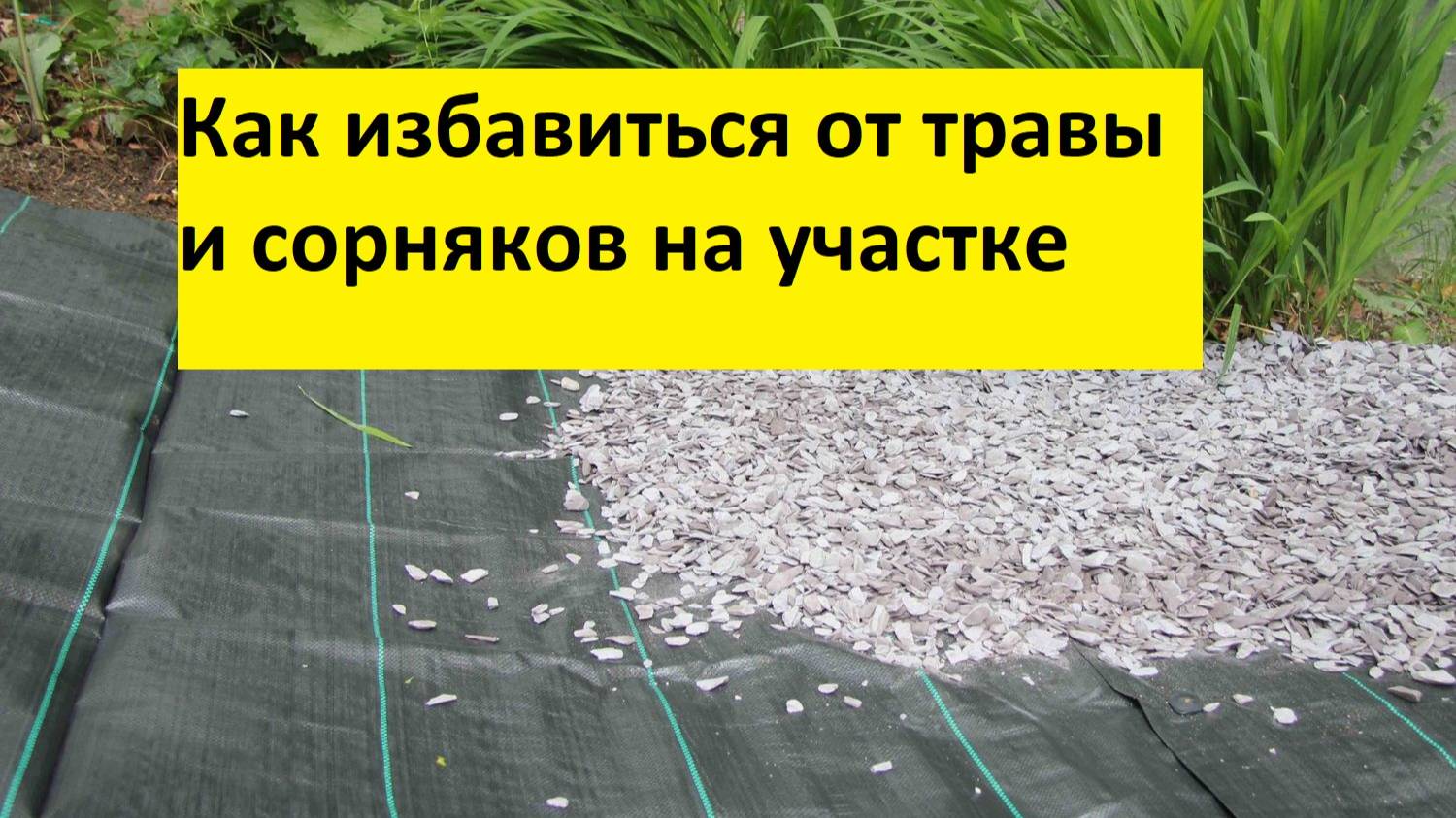 Как сделать так чтобы не росла трава на участке. Как избавиться от сорняков