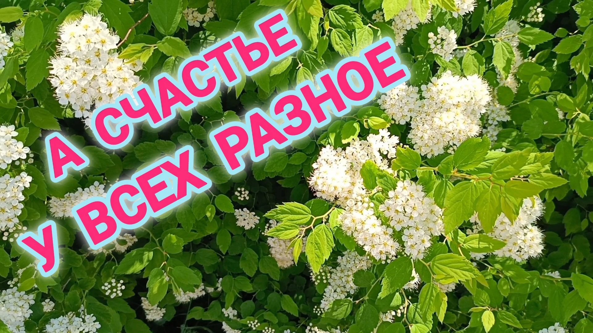 А СЧАСТЬЕ У ВСЕХ РАЗНОЕ!