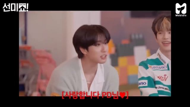 [РУС ОЗВУЧКА]스키즈의 아이돌 이미지?🐶 EP14 by 모비딕 Mobidic || FAMICAT | смотреть онлайн