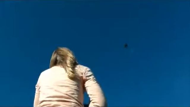 Повітряний змій Butterfly (1151 Paul Gunther)