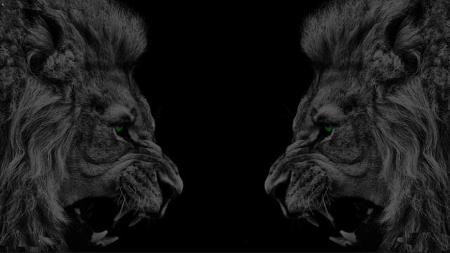 НАШИДЫ ДЛЯ ТРЕНИРОВОК 🎧🕋⚔️🔥 || СБОРНИК МОЩНЫХ НАШИ