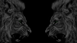 НАШИДЫ ДЛЯ ТРЕНИРОВОК 🎧🕋⚔️🔥 || СБОРНИК МОЩНЫХ НАШИ