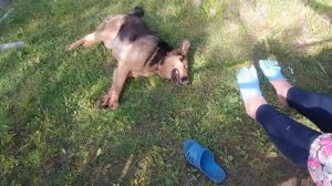 Первые заготовки. Зелень впрок. Носочки для огорода. Работа в кайф. Жизнь семьи в деревне.