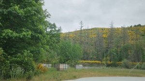 1000302228.mp4 все о жолтой окации