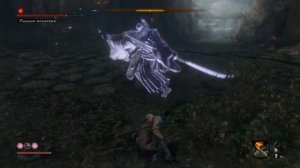 Секиро. Падшая Монахиня