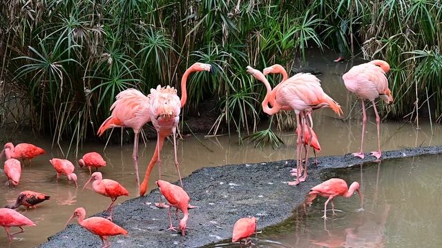 DSC_1980 смотреть онлайн