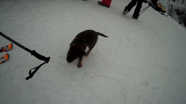 Наконец То едем на лыжи