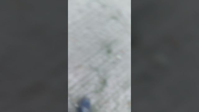 1000010499.mp4 смотреть онлайн